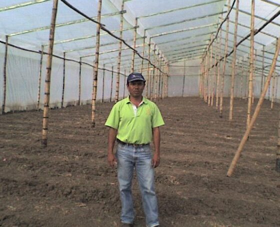 Transformando la Agricultura con Tecnología 4.0