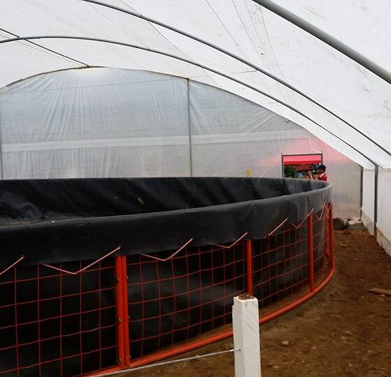 Más de Dos Décadas de Innovación en el Sector Agrícola e Industrial
